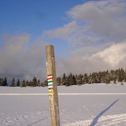 Cesta na pravou stranu